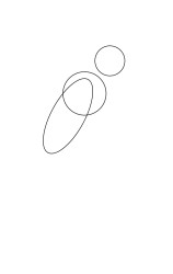 How to draw a parrot step by step - Step 1