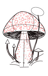 How to draw a mushroom step by step - Step 6