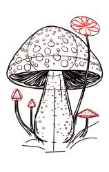 How to draw a mushroom step by step - Step 7