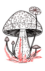 How to draw a mushroom step by step - Step 8