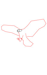 How to draw a eagle step by step - Step 2