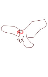 How to draw a eagle step by step - Step 3