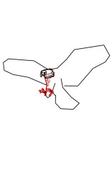 How to draw a eagle step by step - Step 4