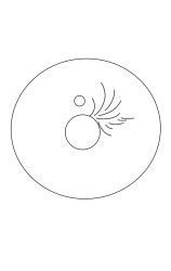 How to draw a peacock step by step - Step 1