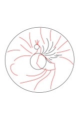 How to draw a peacock step by step - Step 2