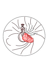 How to draw a peacock step by step - Step 4