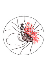 How to draw a peacock step by step - Step 5