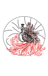 How to draw a peacock step by step - Step 6