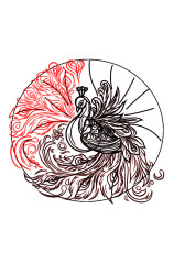 How to draw a peacock step by step - Step 7
