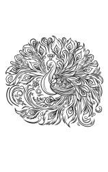 How to draw a peacock step by step - Step 9