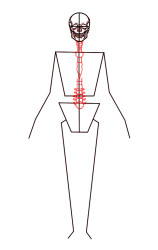 How to draw a skeleton step by step - Step 4