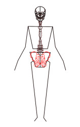 How to draw a skeleton step by step - Step 5