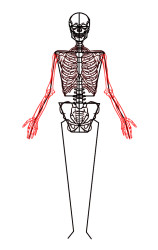 How to draw a skeleton step by step - Step 7