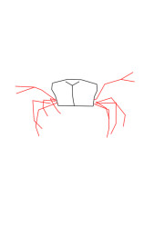 How to draw a crab step by step - Step 2