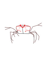 How to draw a crab step by step - Step 3