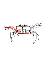 How to draw a crab step by step - Step 5