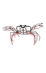 How to draw a crab step by step - Step 6
