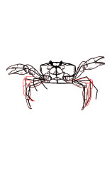 How to draw a crab step by step - Step 7