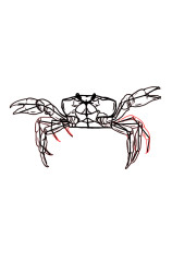 How to draw a crab step by step - Step 8