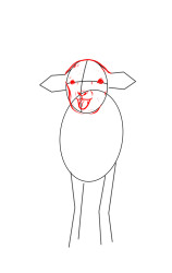 How to draw a lamb step by step - Step 3