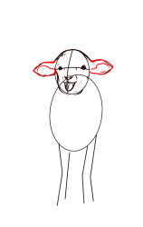 How to draw a lamb step by step - Step 4