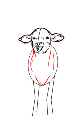 How to draw a lamb step by step - Step 5