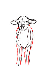 How to draw a lamb step by step - Step 6