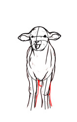 How to draw a lamb step by step - Step 7