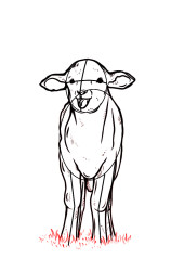 How to draw a lamb step by step - Step 8