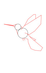 Step by step how to draw a bird - Step 2
