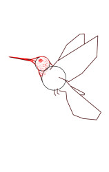 Step by step how to draw a bird - Step 3