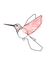 Step by step how to draw a bird - Step 4