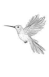 Step by step how to draw a bird - Step 8