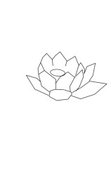 How to draw a lotus flower step by step - Step 1