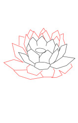 How to draw a lotus flower step by step - Step 2