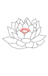 How to draw a lotus flower step by step - Step 3