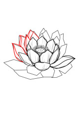 How to draw a lotus flower step by step - Step 6