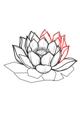 How to draw a lotus flower step by step - Step 7