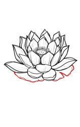 How to draw a lotus flower step by step - Step 9