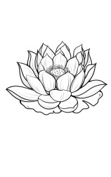 How to draw a lotus flower step by step - Step 10