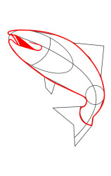 How to draw a trout - Step 4