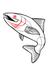 How to draw a trout - Step 8