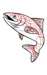 How to draw a trout - Step 9