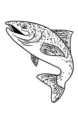 How to draw a trout - Step 10
