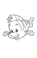 How to draw flounder - Step 9