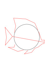 How to draw an angelfish - Step 2