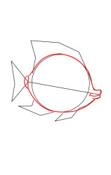 How to draw an angelfish - Step 3