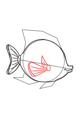 LearnDrawing How to draw an angelfish