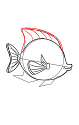 How to draw an angelfish - Step 6