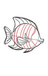 How to draw an angelfish - Step 8